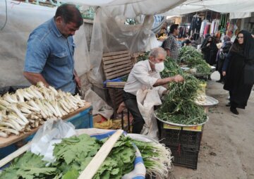 بازار داغ گیاهان بهاری در خرم‌آباد