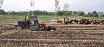 بخش کشاورزی در منطقه ارومیه پارسال بیش از ۹۰ میلیون لیتر سوخت مصرف کرد