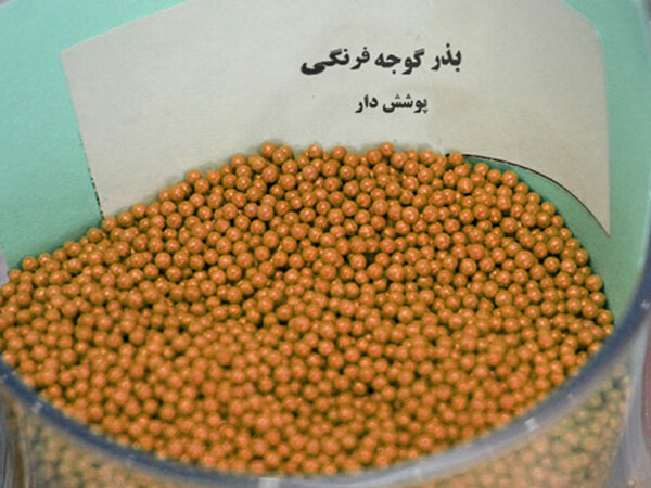 فعالیت جهادی آستان قدس رضوی در حوزه دانشبنیان/ الگوسازی خواهیم کرد