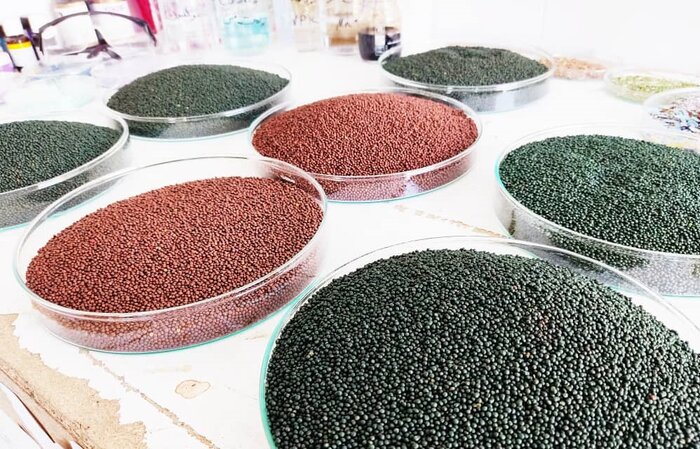 فعالیت جهادی آستان قدس رضوی در حوزه دانشبنیان/ الگوسازی خواهیم کرد