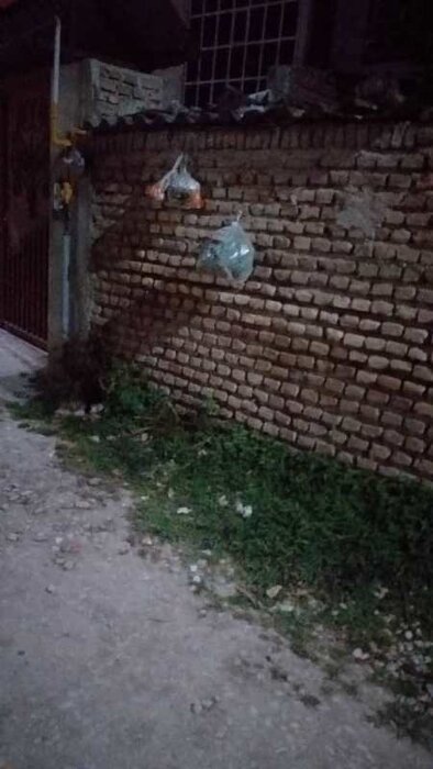 بلایی که جمعآوری غیربهداشتی زباله بر سر اهالی روستای چالهپل نکا آورد 4