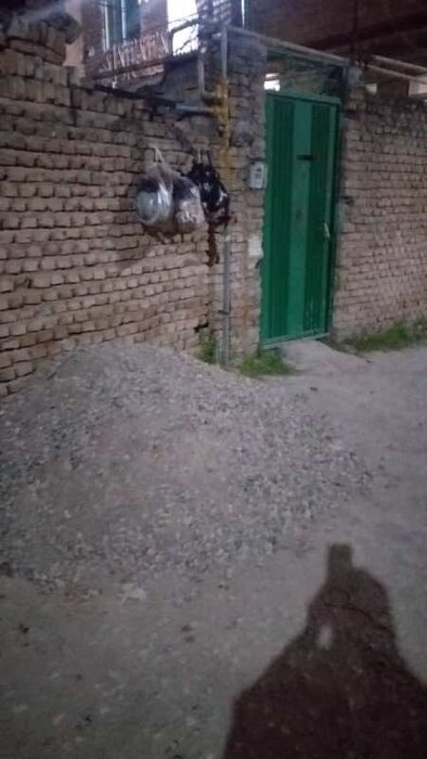 بلایی که جمعآوری غیربهداشتی زباله بر سر اهالی روستای چالهپل نکا آورد 5