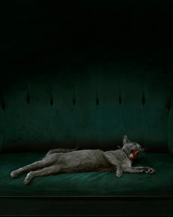 «مهاجران» جایزه عکاسی جهانی سونی را ربودند