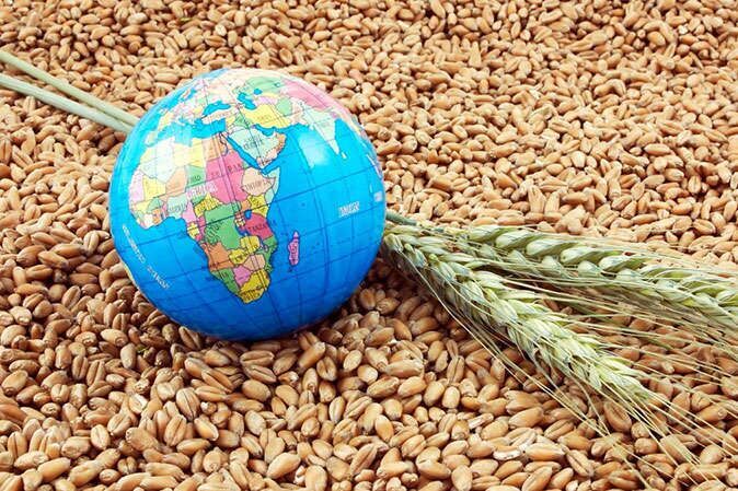 آسیا و بحران غذایی ناشی از جنگ اوکراین