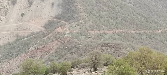 دغدغه ساخت جاده در دل جنگلهای بکر دزفول