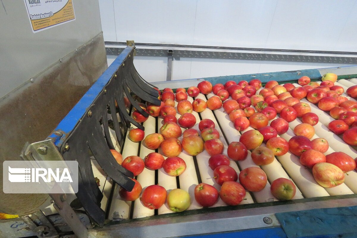 از ایجاد سامانه نظام ایدهها و نیازها تا خسارت سرما به محصولات کشاورزی