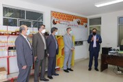 مرکز آموزش در زمینه پرورش زنبور عسل ملکه کردستان راه اندازی شد