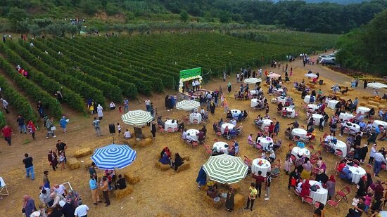 گردشگری قزوین، ظرفیتی مغفول برای اشتغال آفرینی