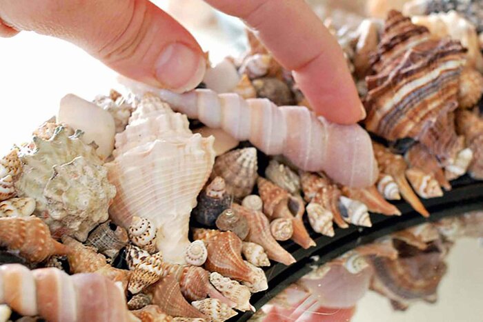 بانوی کارآفرین بوشهری: زنان از کار نترسند