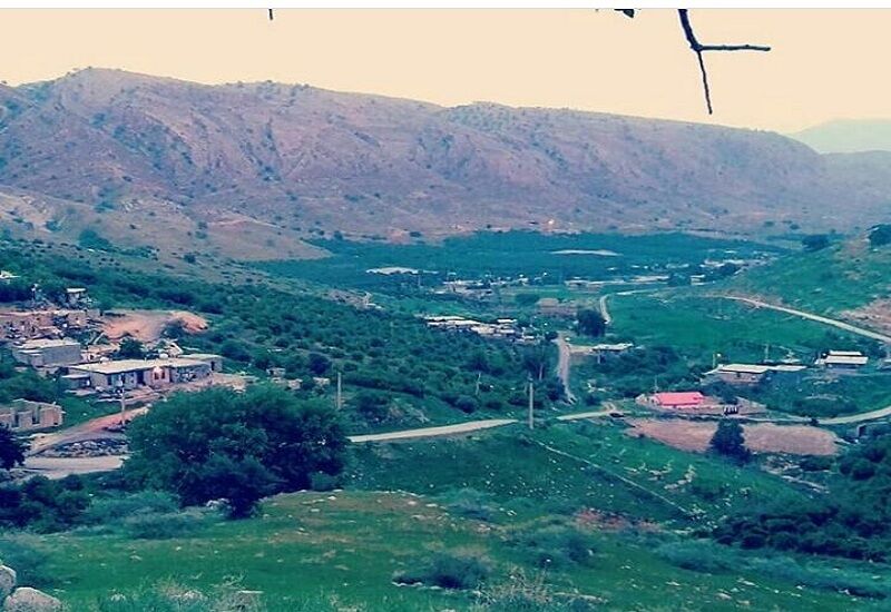 روی خوش زندگی در روستای اسلام آباد غورک باشت با تولید طلای ترش