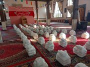 آغاز هفت پویش در بهزیستی استان بوشهر