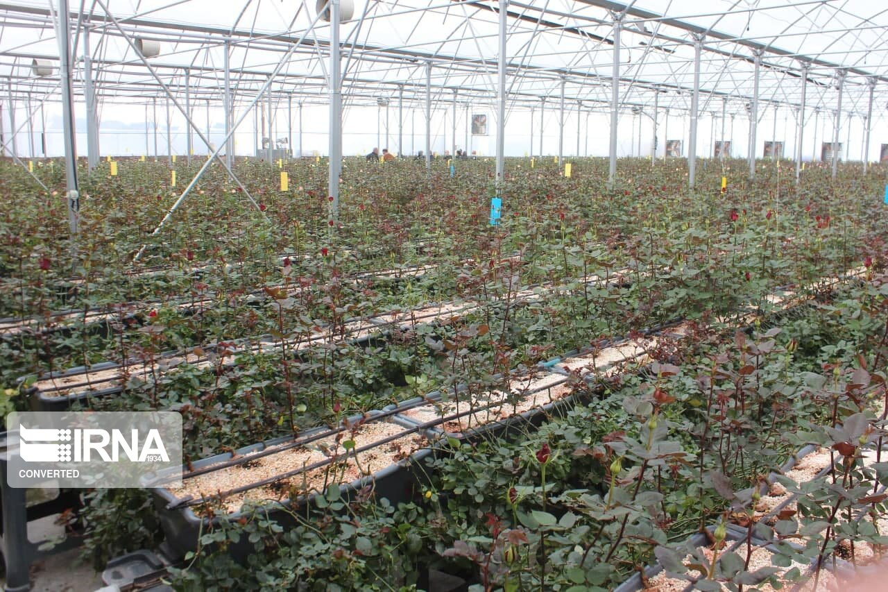 از بررسی علمی پرونده پتروشیمی مازندران تا ارزیابی کیفیت کالای کولهبران