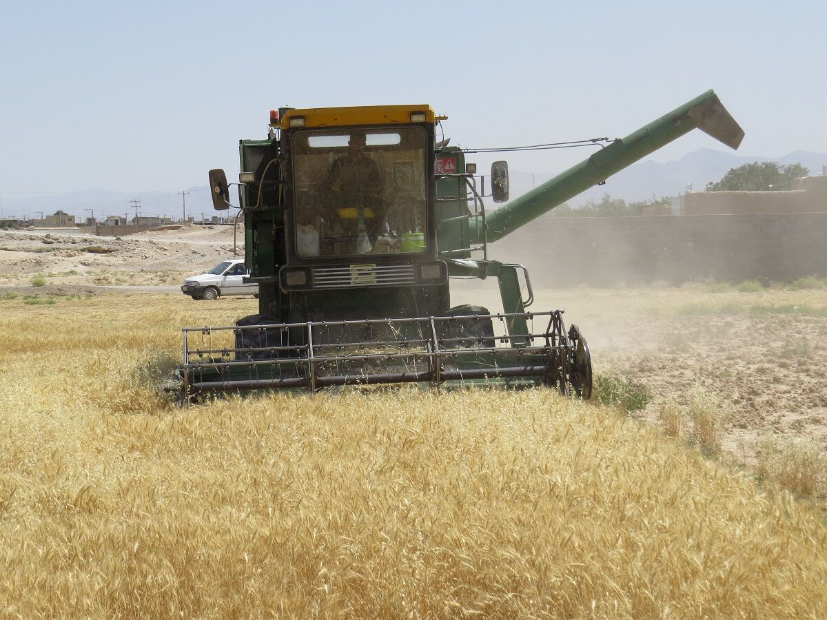 از بررسی علمی پرونده پتروشیمی مازندران تا ارزیابی کیفیت کالای کولهبران