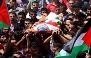 Los militares israelíes asesinan a tiros a una joven palestina