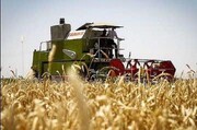 ۶۶درصد مطالبات کشاورزان خوزستانی پرداخت شد