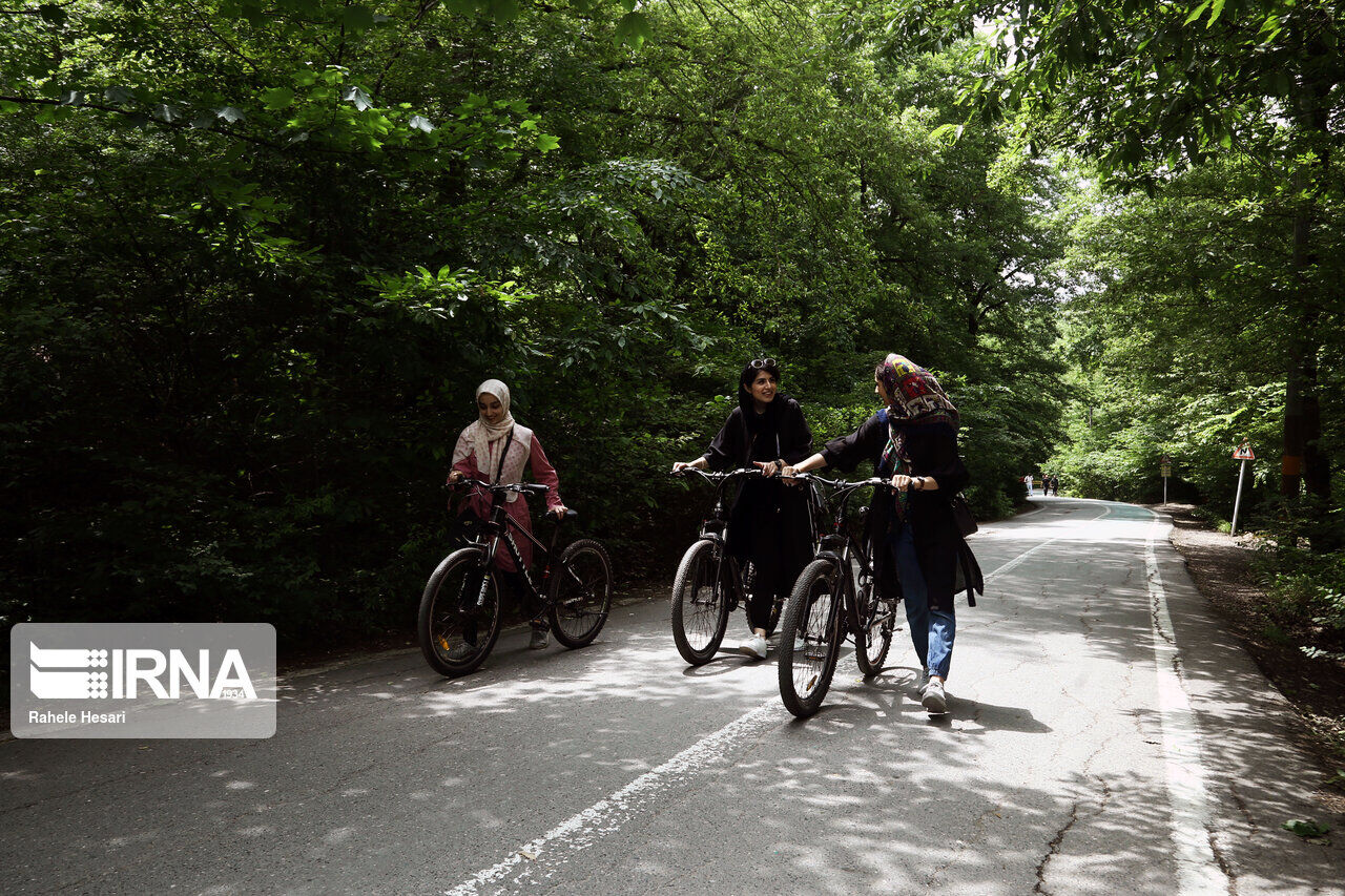رئیس شورای شهر اسلامشهر: بوستان قائم مختص بانوان میشود رئیس شورای شهر اسلامشهر: بوستان قائم مختص بانوان میشود