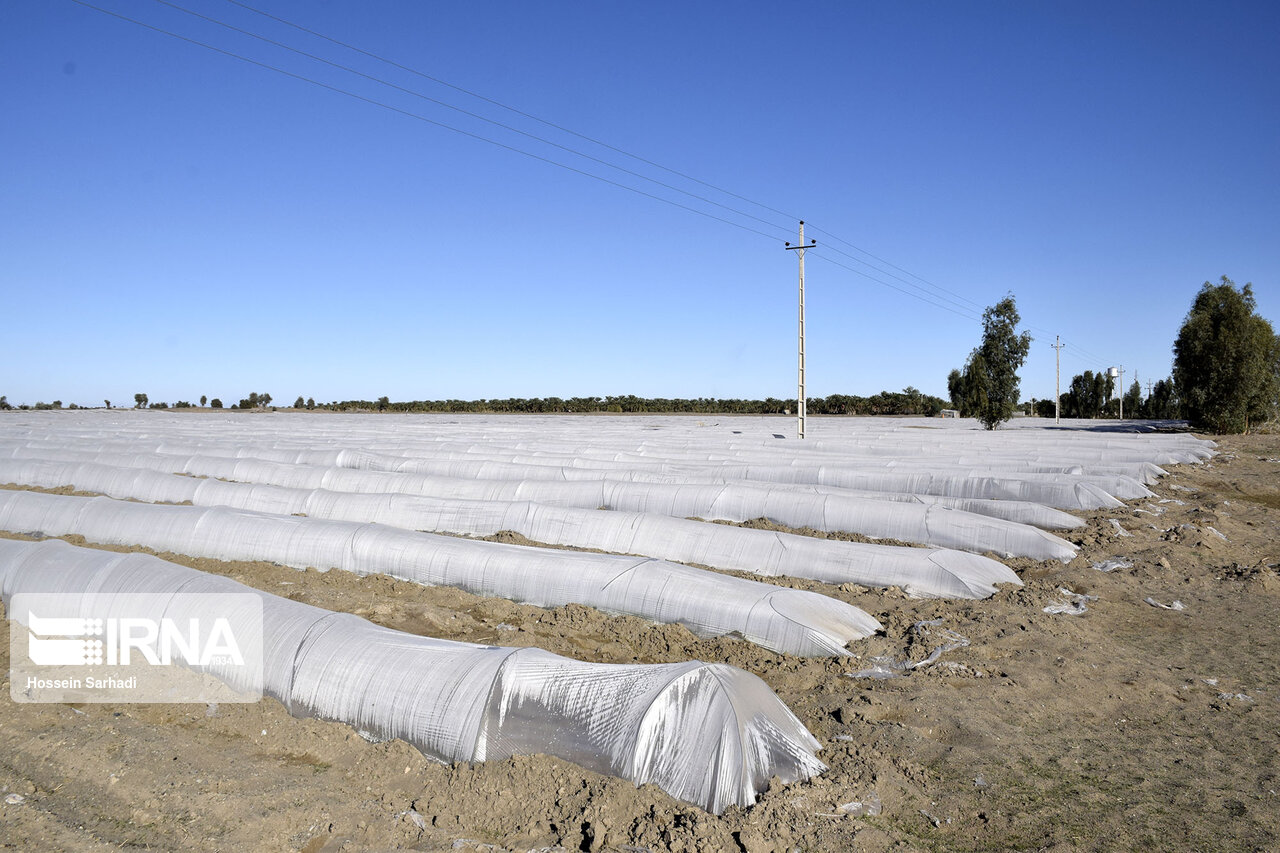 از ارتقاء سهم دانشبنیانها تا اعتبار ۴۰۰ هزار میلیارد تومانی برای حمایت از صنایع