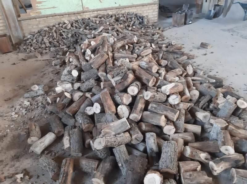 دستگیری عاملان قطع درختان در شهرری دستگیری عاملان قطع درختان در شهرری