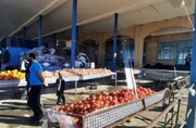کاهش قیمت از اهداف راه‌اندازی میدان میوه شهرداری بیرجند است