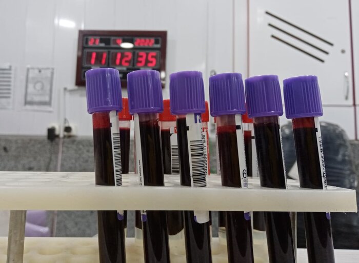 شب قدر بوشهریها با احیایی متفاوت