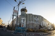هيومن رايتس: جدار الفصل الإسرائيلي يقيد سبل العيش