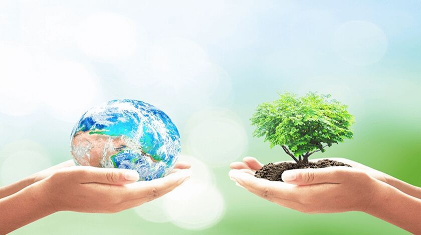 شعار زمین پاک را باید با کمک  شرکت های دانش بنیان محقق  کنیم
