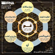 اینفوگرافیک: وضعیت تولید و تامین گندم در استان قم