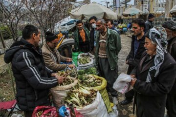 بازار فروش گياهان بهاری