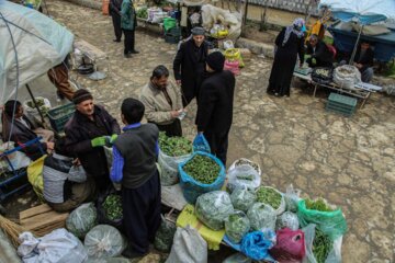 بازار فروش گياهان بهاری