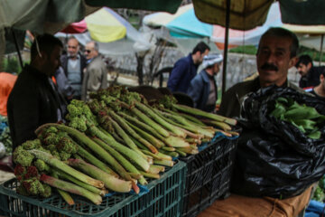 بازار فروش گياهان بهاری