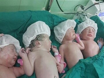 تولد ۱۱۴ نوزاد چند قلو در بیمارستان ام‌البنین(س) مشهد 
