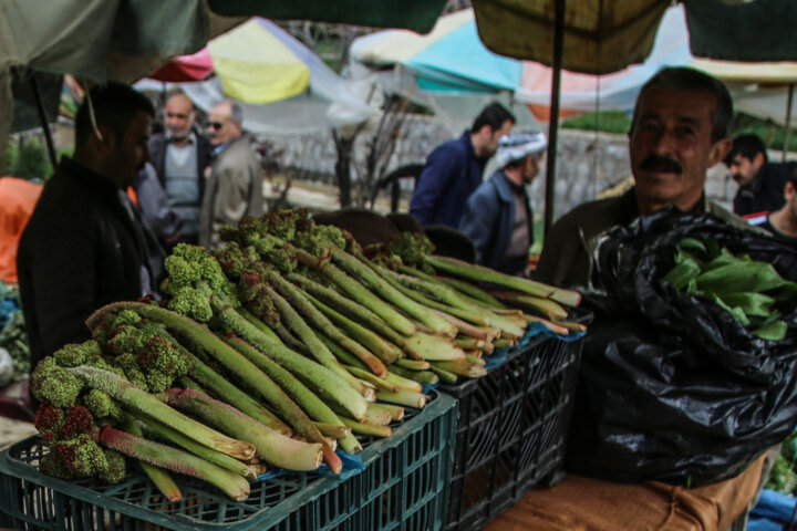 شهر تاریخی نیشابور میزبان گردشگران نوروزی خراسان رضوی