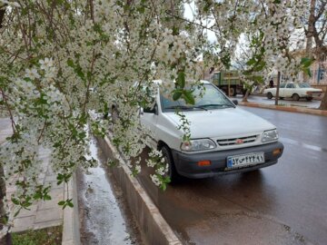 باران و بهارخلخال