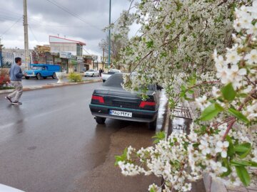 باران و بهارخلخال