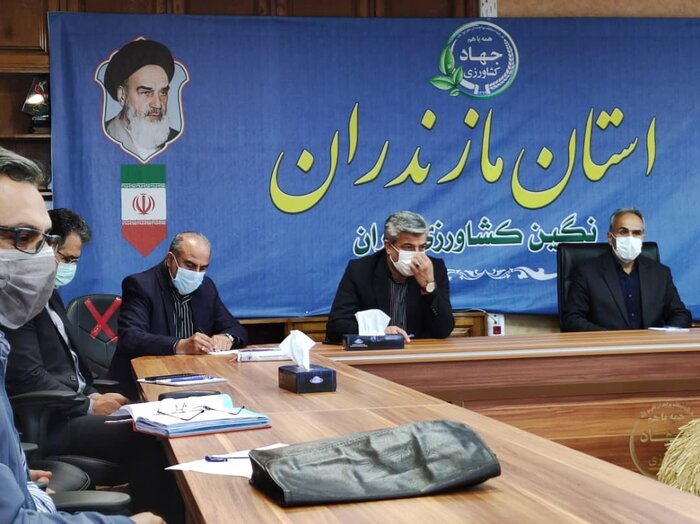 سامانه فروش اینترنتی کالاهای تنظیم بازار در مازندران راهاندازی شد 2