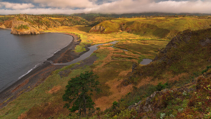 از عادی شدن شرایط درمرز افغانستان و ایران در ولایت هرات تا نقض آتشبس از سوی ائتلاف سعودی