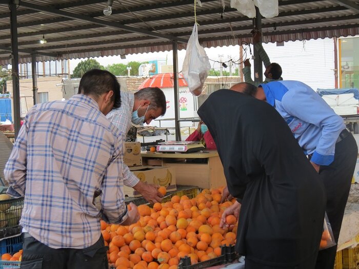 یک بام و دو هوای بازار میوه و ترهبار در بیرجند