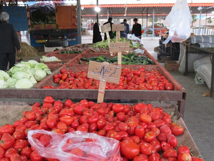 یک بام و دو هوای بازار میوه و ترهبار در بیرجند