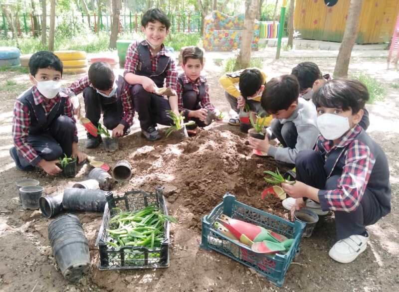  دانش‌آموزان تربت‌حیدریه به توسعه فضای سبز این شهر کمک می کنند