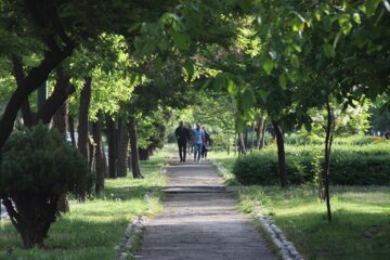 گلستان خنک می‌شود