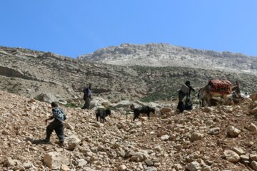 منطقه ییلاقی سروند و تازه در شمال خوزستان