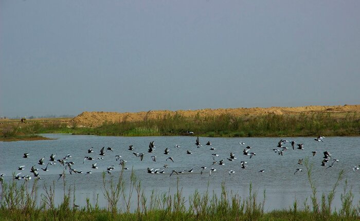 از بلاتکلیفی طرحهای نیمهکاره پتروشیمی تا نگرانی از وضعیت هورالعظیم در تابستان