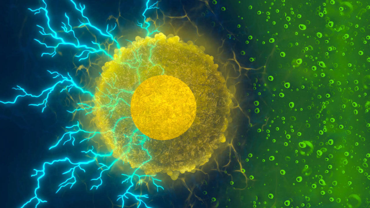 قابلیت استفاده کورکومین در ساخت الکترود پیلسوختی