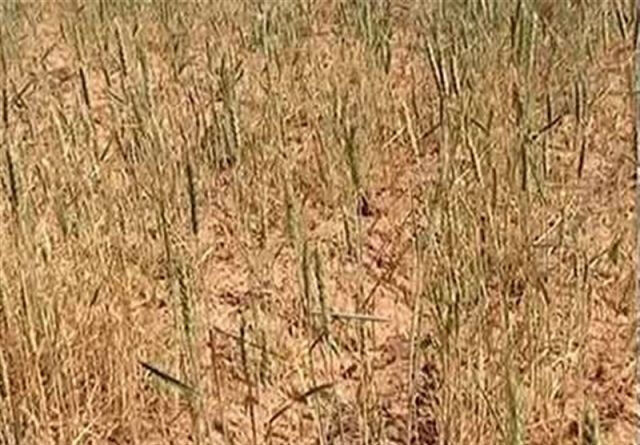 ۱۴۰۰ میلیارد تومان برای پایداری آب شرب خراسان شمالی نیاز است