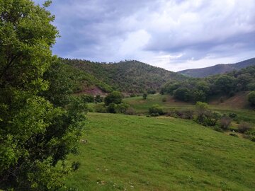 اردیبهشت‌ماه و طبیعت بکر و زیبای سردشت