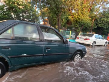 دیروز ۳۸ میلیمتر باران در «النگدره» گرگان بارید/ سقوط ۹ اصله درخت و کابل‌های برق در شهر گرگان