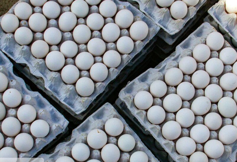 ۲.۵ تن تخم مرغ احتکار شده در بینالود کشف شد
