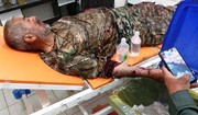 قرق بان مجروح کهگیلویه در شیراز تحت مداوا قرار گرفت