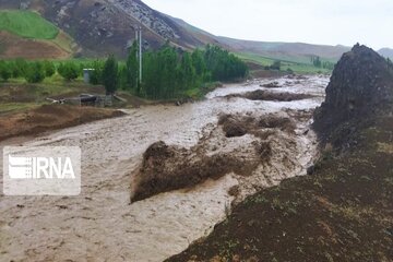 فیلم/ جاری شدن سیل در شهرستان مشگین‌شهر