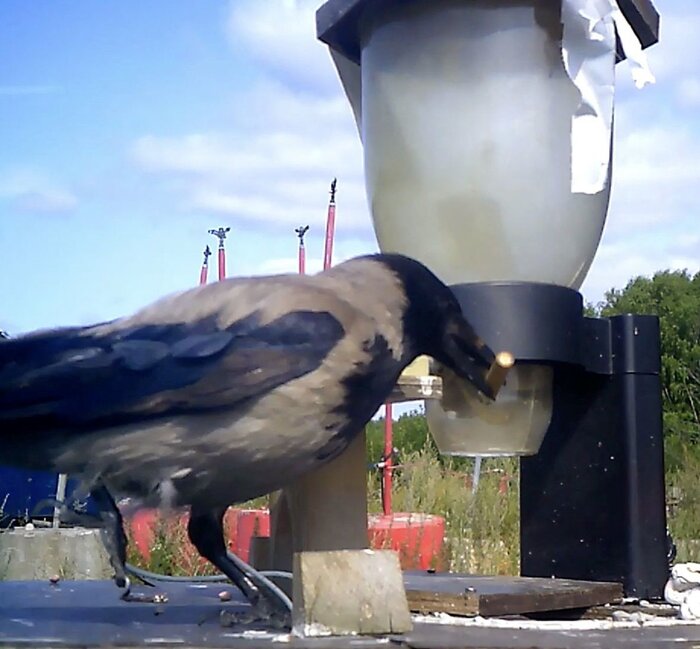 چند راهکار برای جمع آوری یک قاتل خاموش